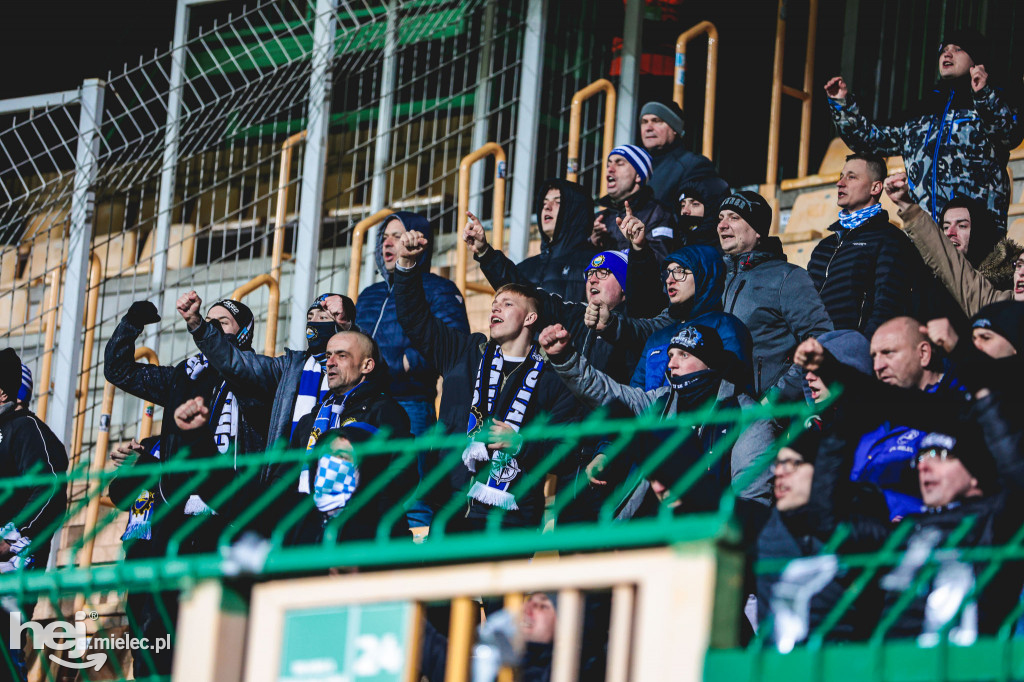 Górnik Łęczna - PGE FKS Stal Mielec