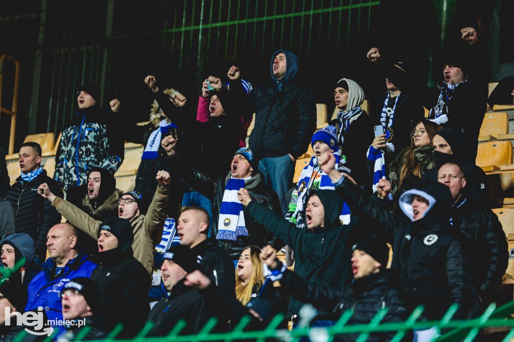 Górnik Łęczna - PGE FKS Stal Mielec