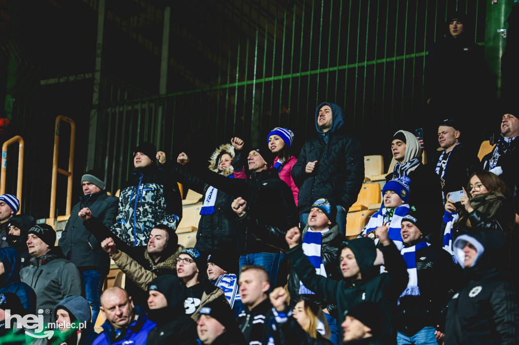 Górnik Łęczna - PGE FKS Stal Mielec
