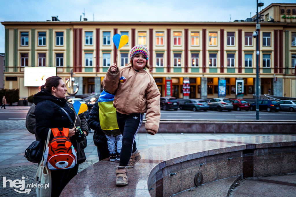 Solidarni z Ukrainą. Pikieta w Mielcu