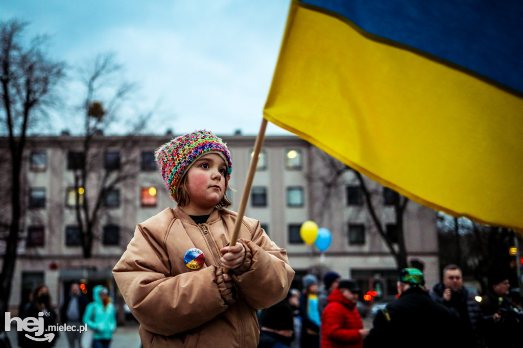 Solidarni z Ukrainą. Pikieta w Mielcu