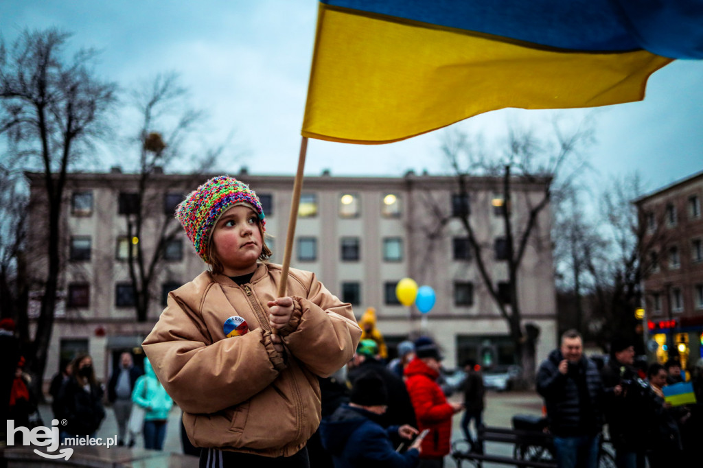 Solidarni z Ukrainą. Pikieta w Mielcu