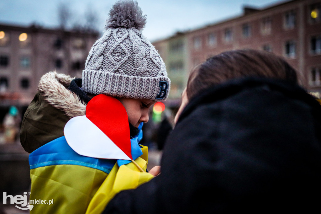 Solidarni z Ukrainą. Pikieta w Mielcu