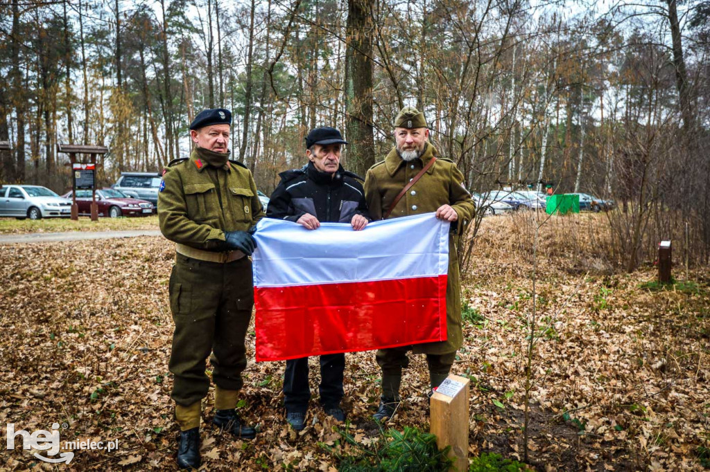 Odsłonięcie Dębu Niezłomnych im. por. Henryka Atemborskiego