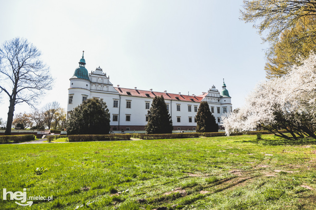 Wiosenny czas na Zamku w Baranowie Sandomierskim