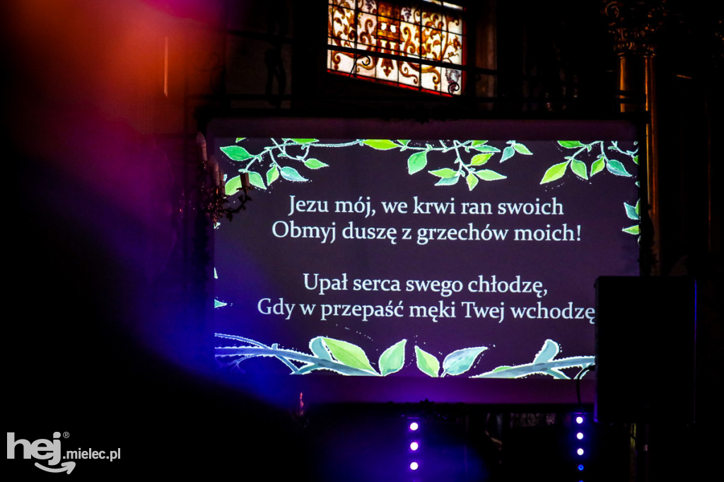Koncert Macieja Miecznikowskiego