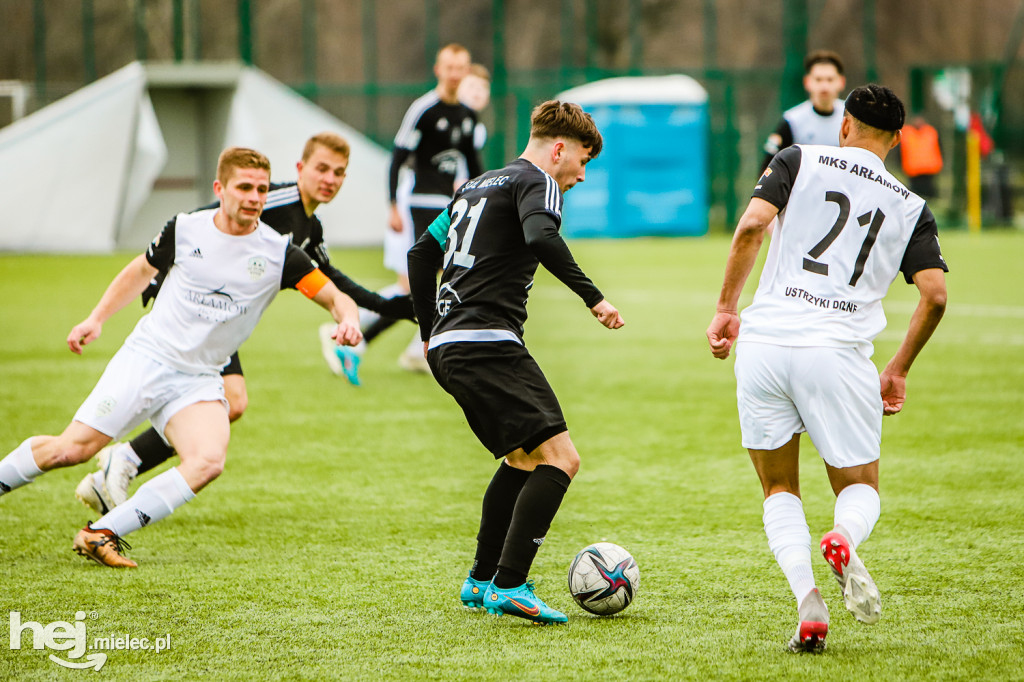 STAL II Mielec - Bieszczady Arłamów Ustrzyki Dolne