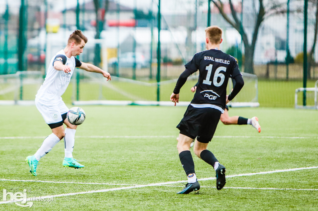 STAL II Mielec - Bieszczady Arłamów Ustrzyki Dolne