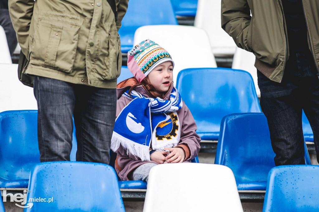 PGE FKS Stal Mielec - Warta Poznań
