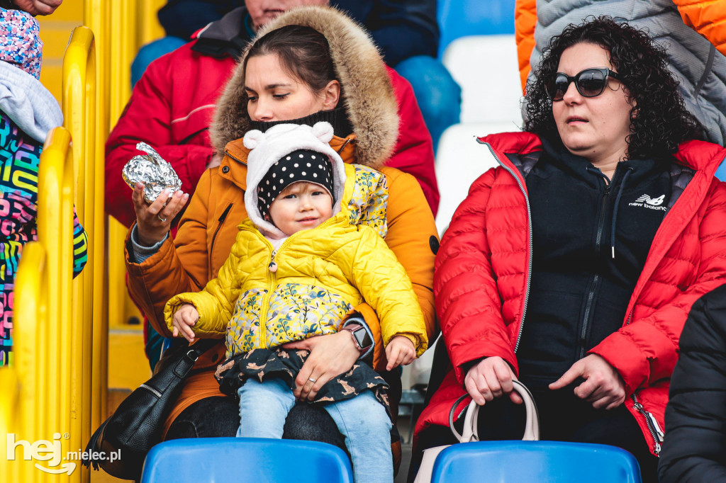 PGE FKS Stal Mielec - Warta Poznań