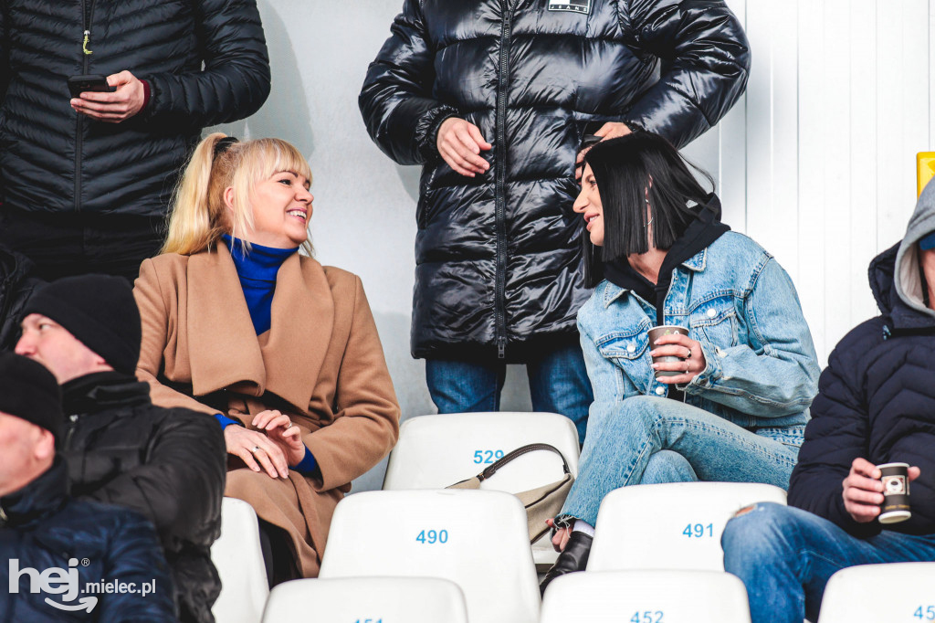 PGE FKS Stal Mielec - Warta Poznań