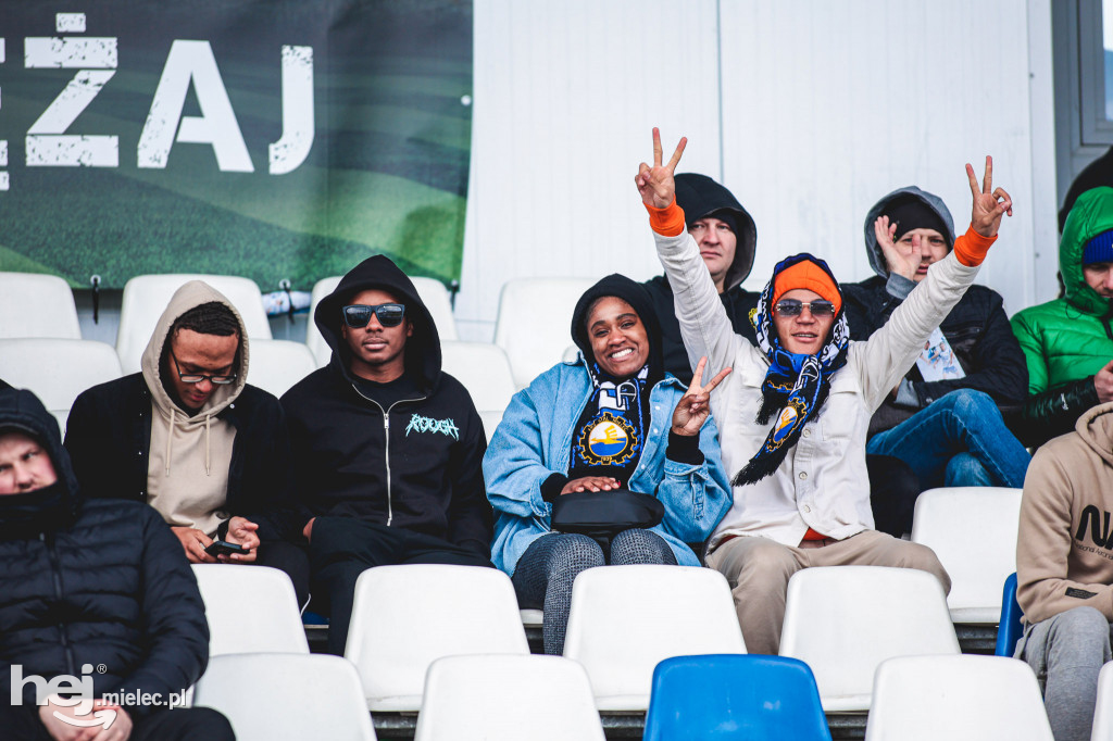 PGE FKS Stal Mielec - Warta Poznań