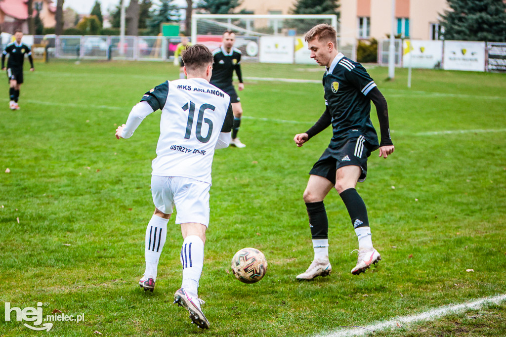 Czarni Trześń - Arłamów Bieszczady Ustrzyki Dolne