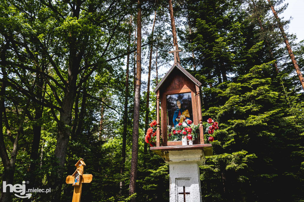 Love'Las Wiosną
