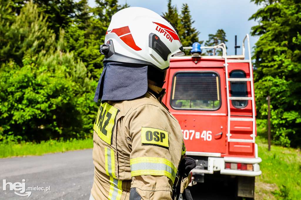 Ognisty Las - ćwiczenia OSP Gminy Mielec