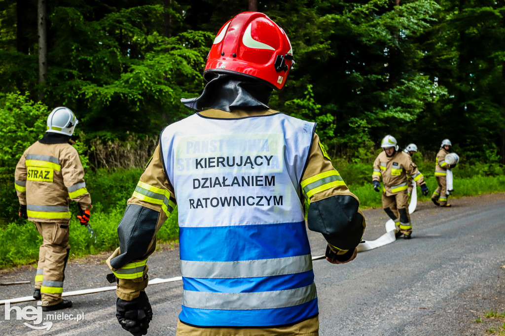 Ognisty Las - ćwiczenia OSP Gminy Mielec