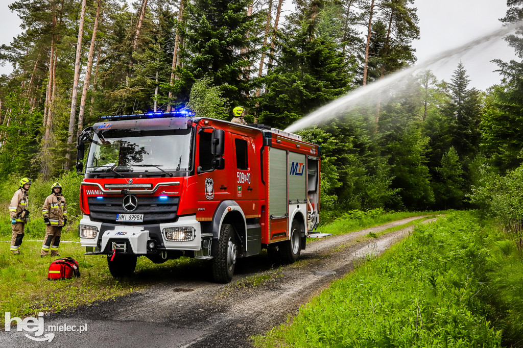 Ognisty Las - ćwiczenia OSP Gminy Mielec