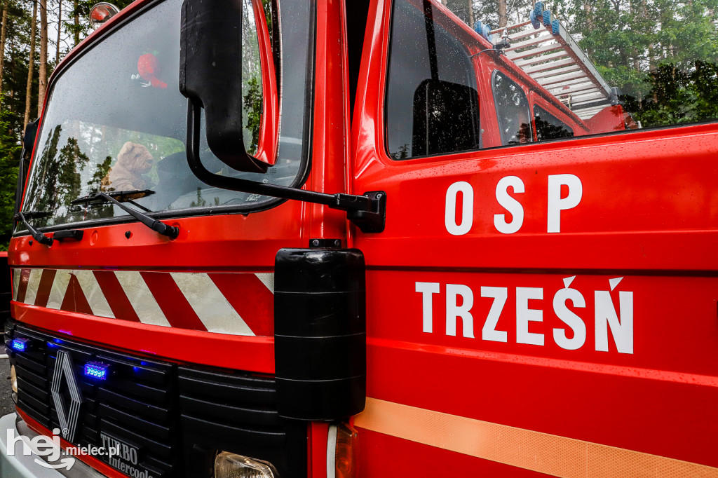 Ognisty Las - ćwiczenia OSP Gminy Mielec