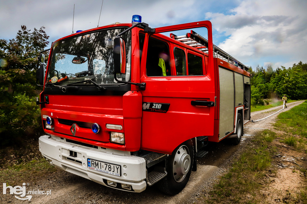 Ognisty Las - ćwiczenia OSP Gminy Mielec