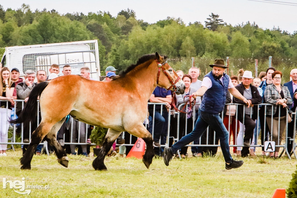 Parada Konna w Żarówce 2022