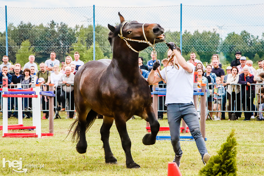 Parada Konna w Żarówce 2022