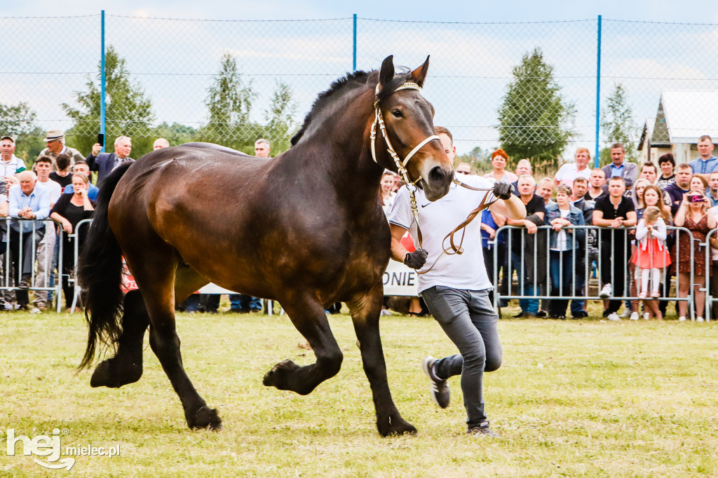 Parada Konna w Żarówce 2022