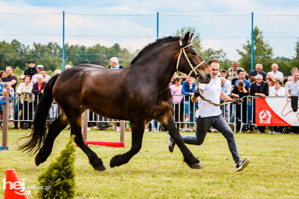 Parada Konna w Żarówce 2022