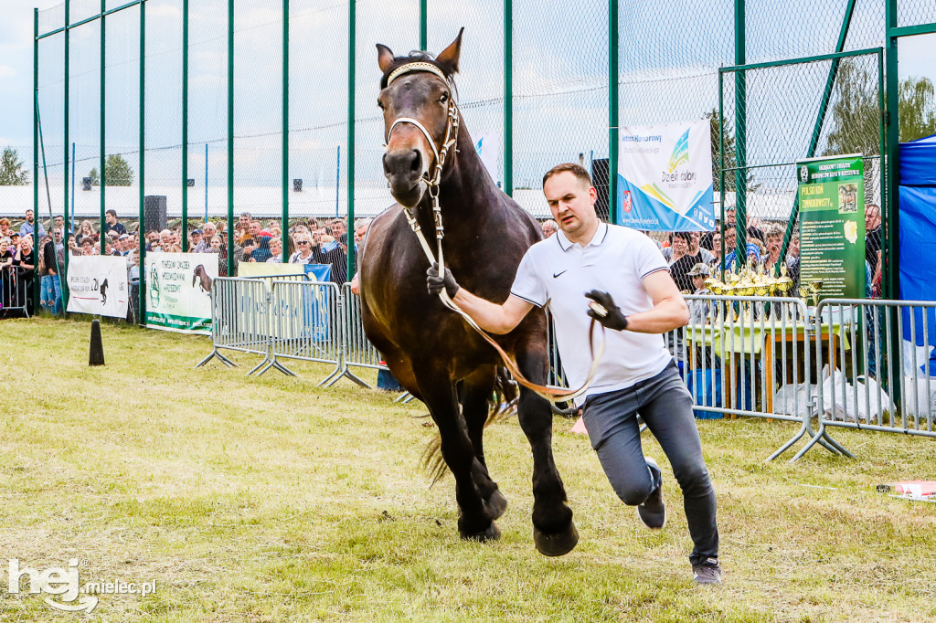 Parada Konna w Żarówce 2022