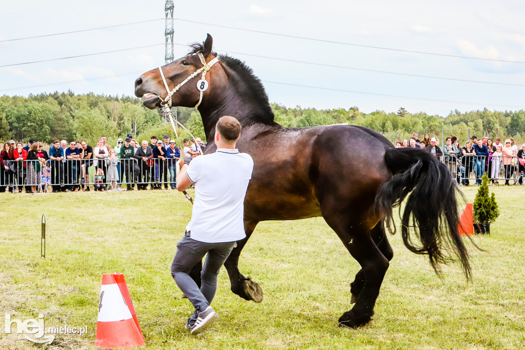 Parada Konna w Żarówce 2022