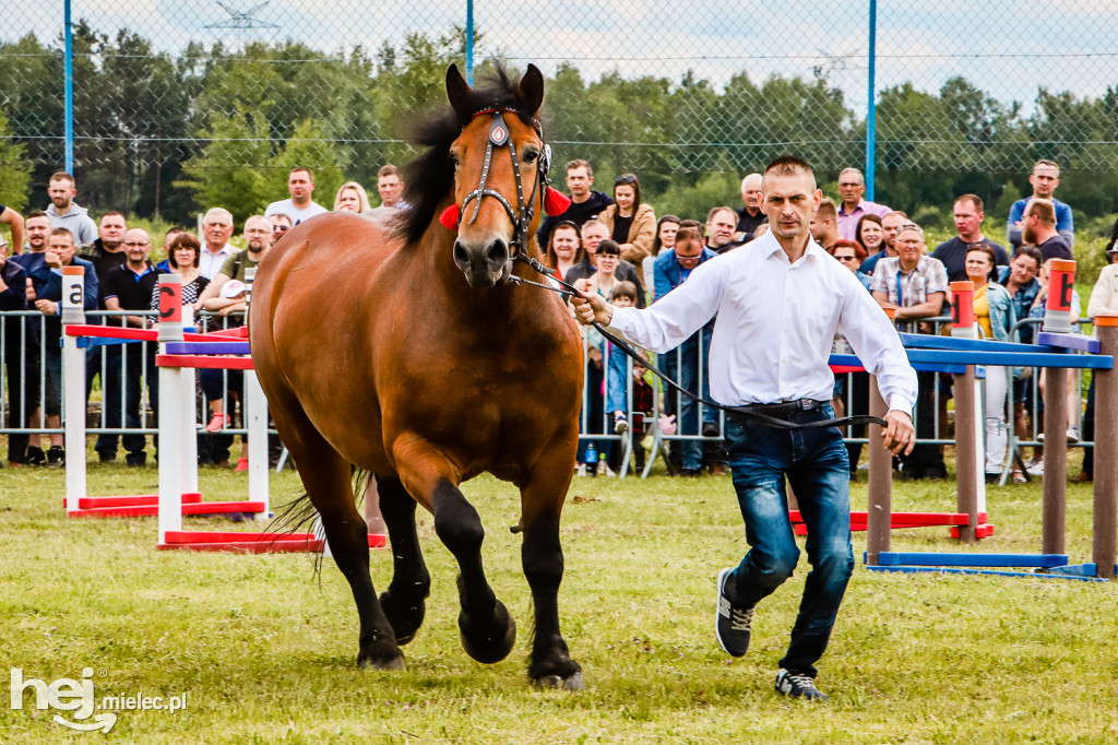 Parada Konna w Żarówce 2022