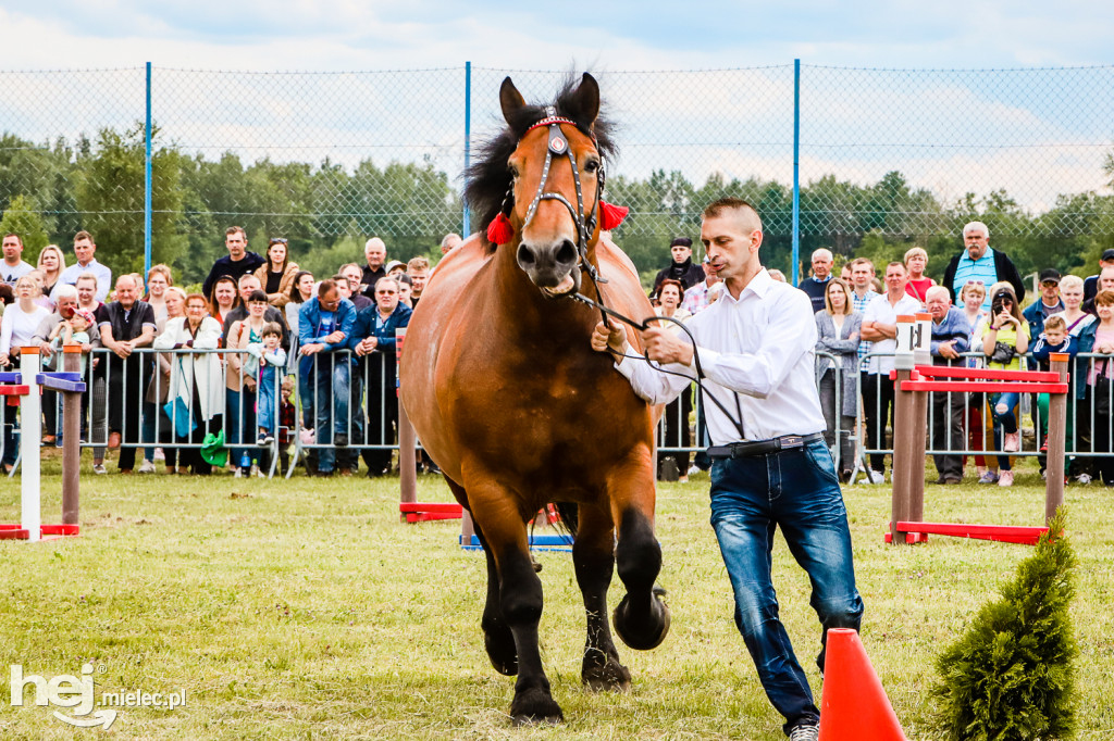 Parada Konna w Żarówce 2022