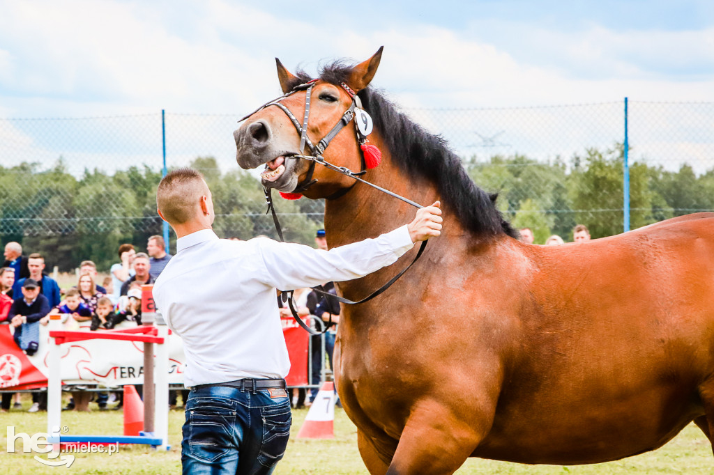 Parada Konna w Żarówce 2022