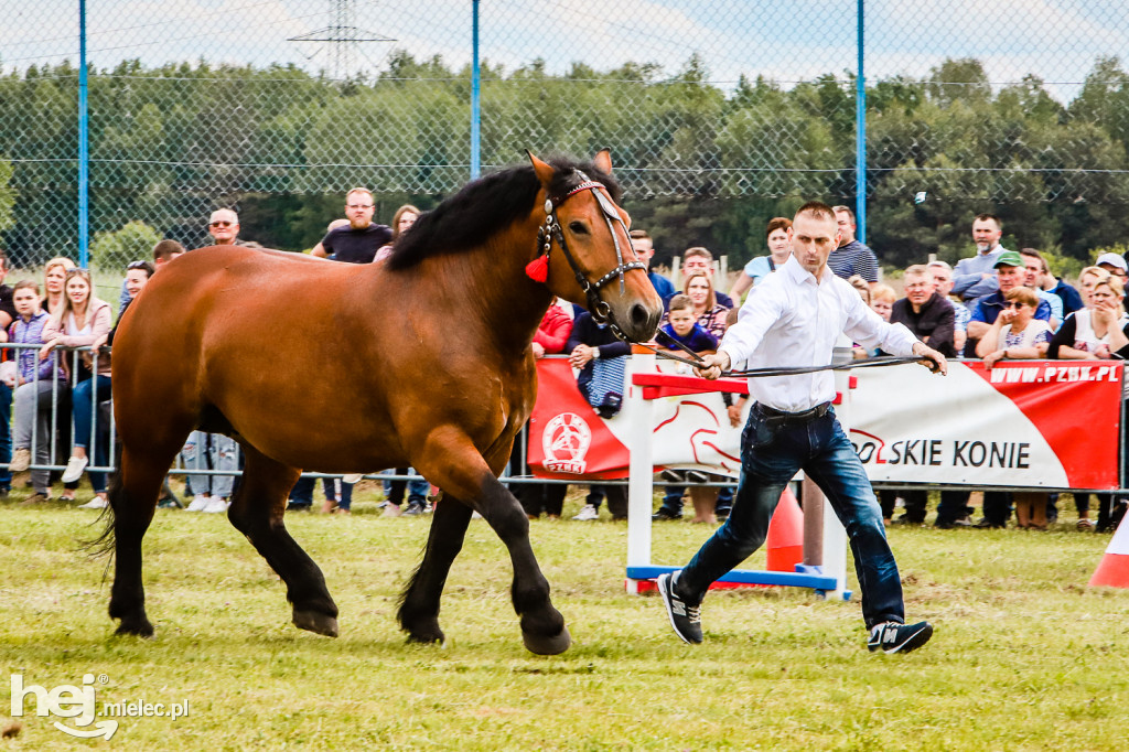 Parada Konna w Żarówce 2022