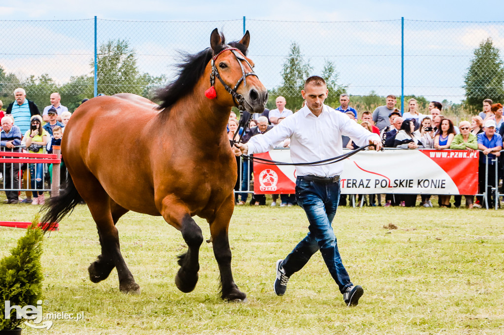 Parada Konna w Żarówce 2022