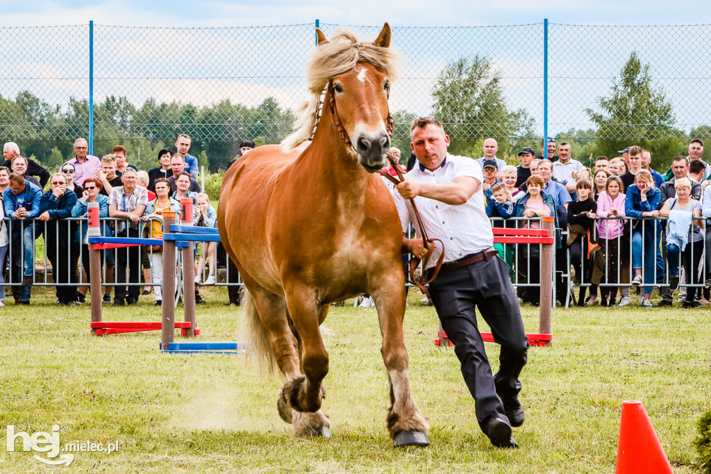 Parada Konna w Żarówce 2022