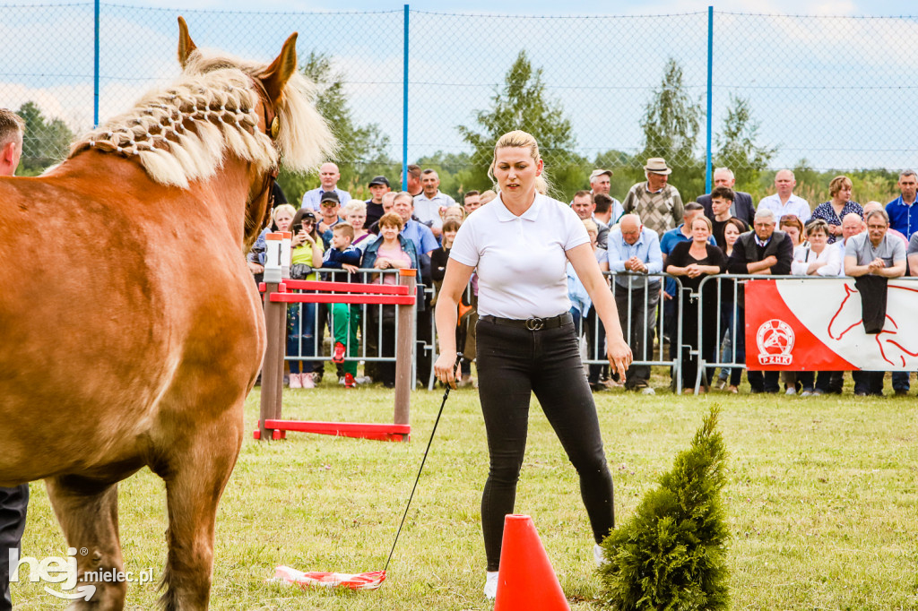 Parada Konna w Żarówce 2022