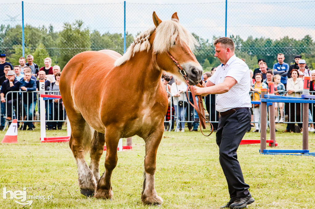 Parada Konna w Żarówce 2022