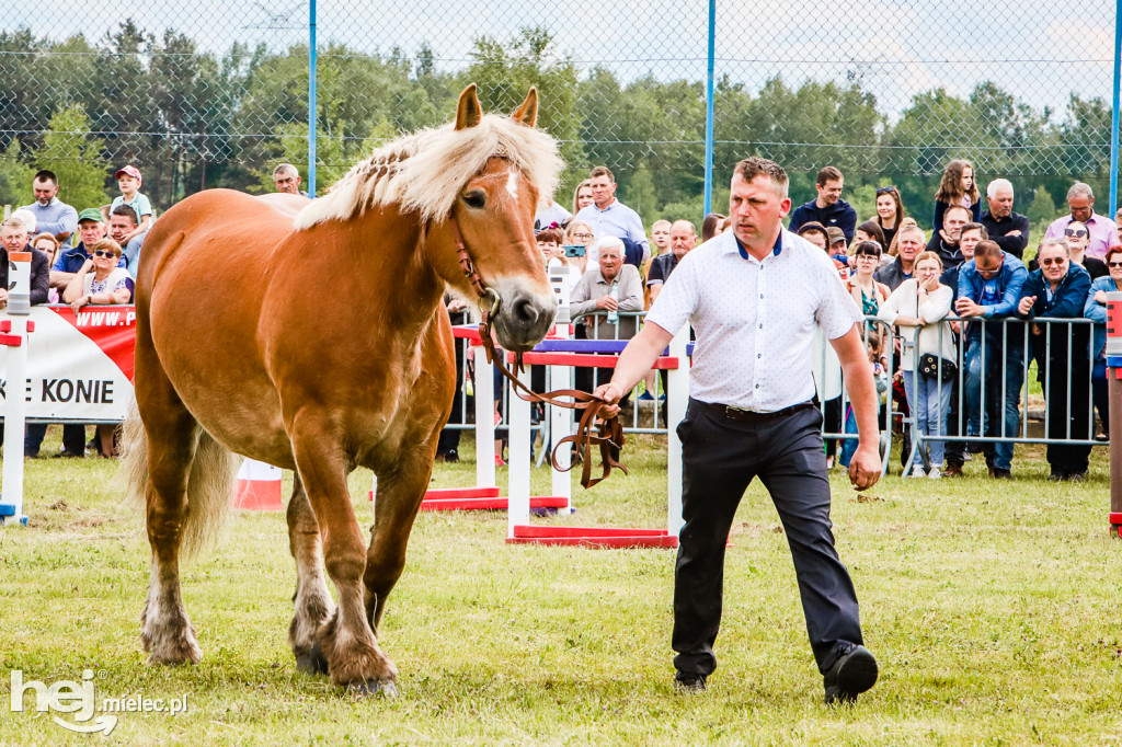 Parada Konna w Żarówce 2022