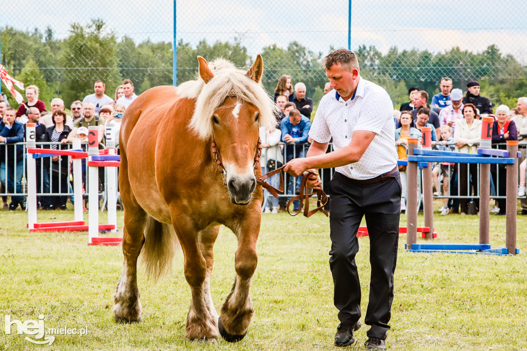 Parada Konna w Żarówce 2022