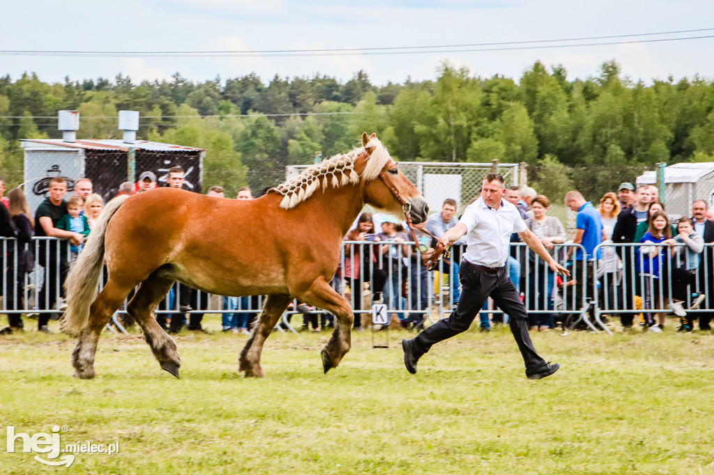 Parada Konna w Żarówce 2022