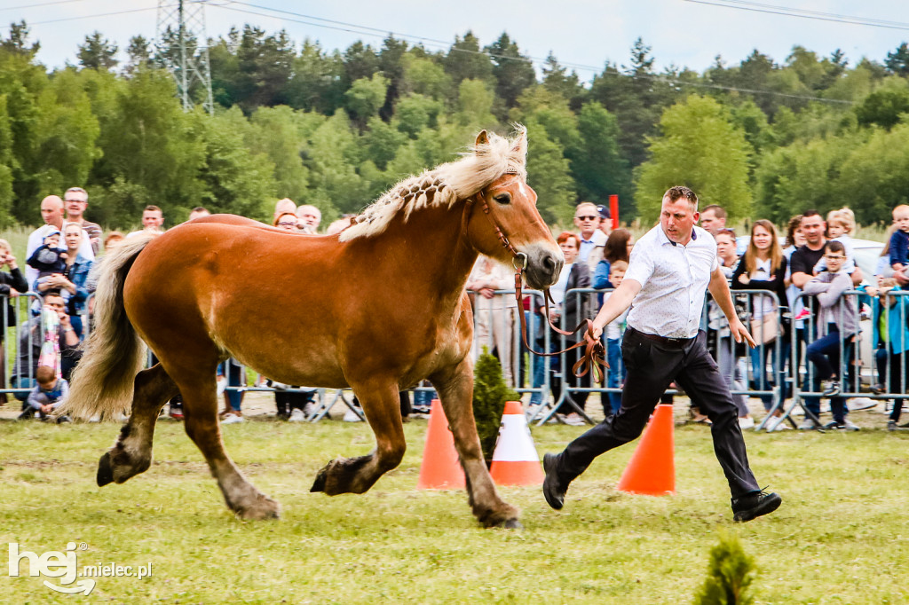 Parada Konna w Żarówce 2022