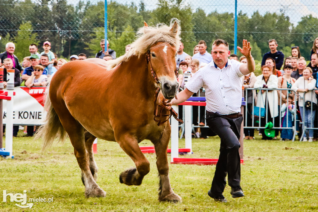 Parada Konna w Żarówce 2022