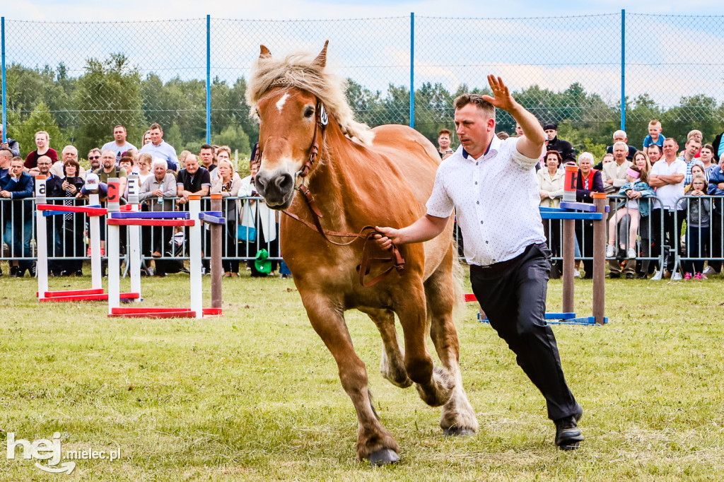 Parada Konna w Żarówce 2022