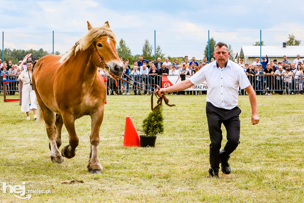 Parada Konna w Żarówce 2022