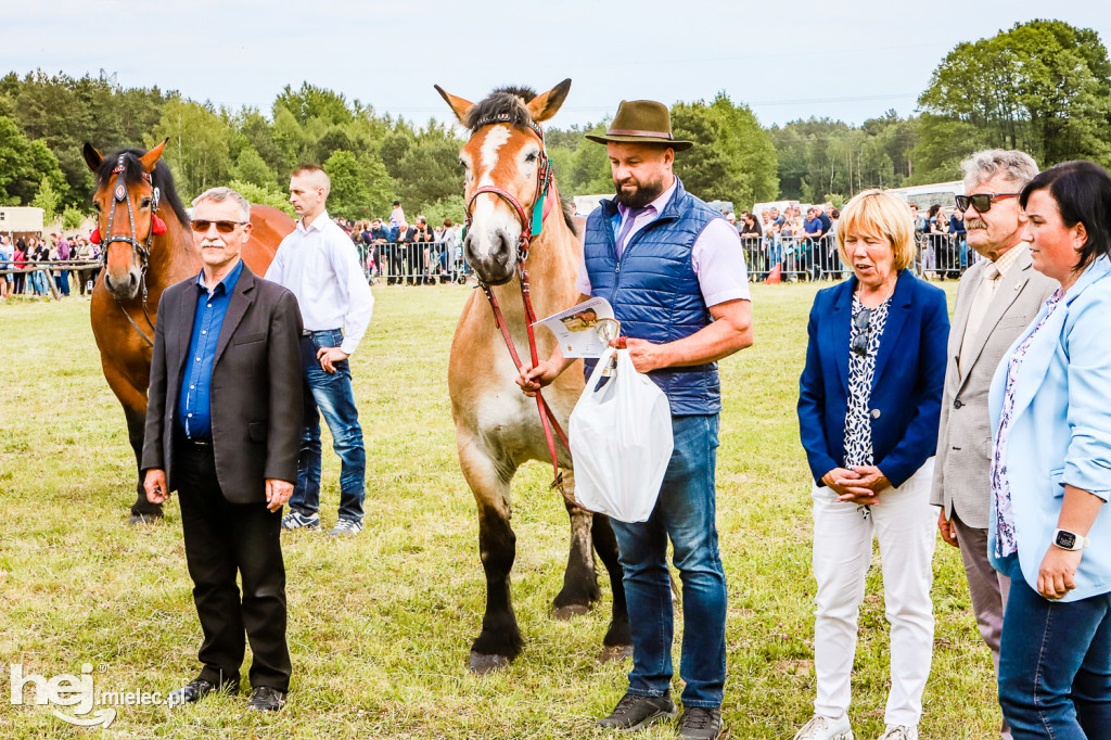 Parada Konna w Żarówce 2022