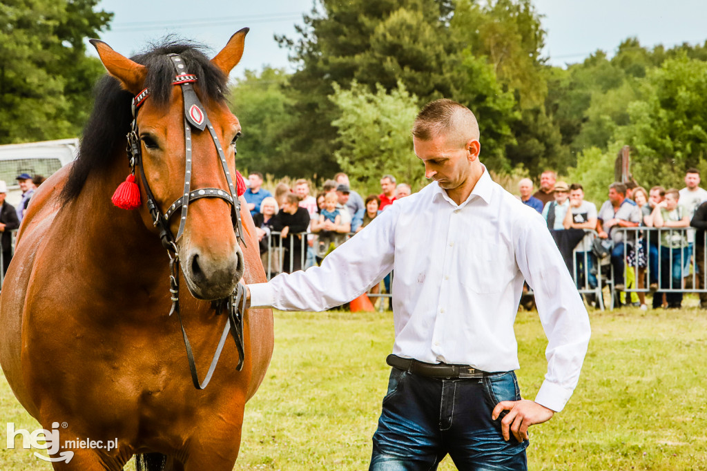 Parada Konna w Żarówce 2022