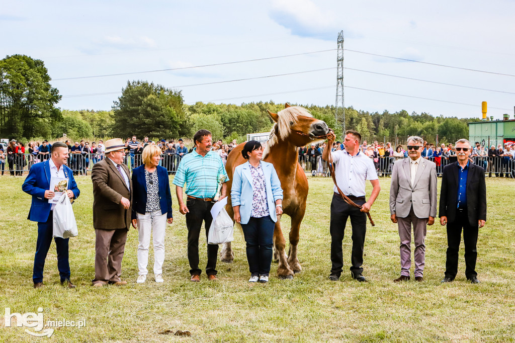 Parada Konna w Żarówce 2022