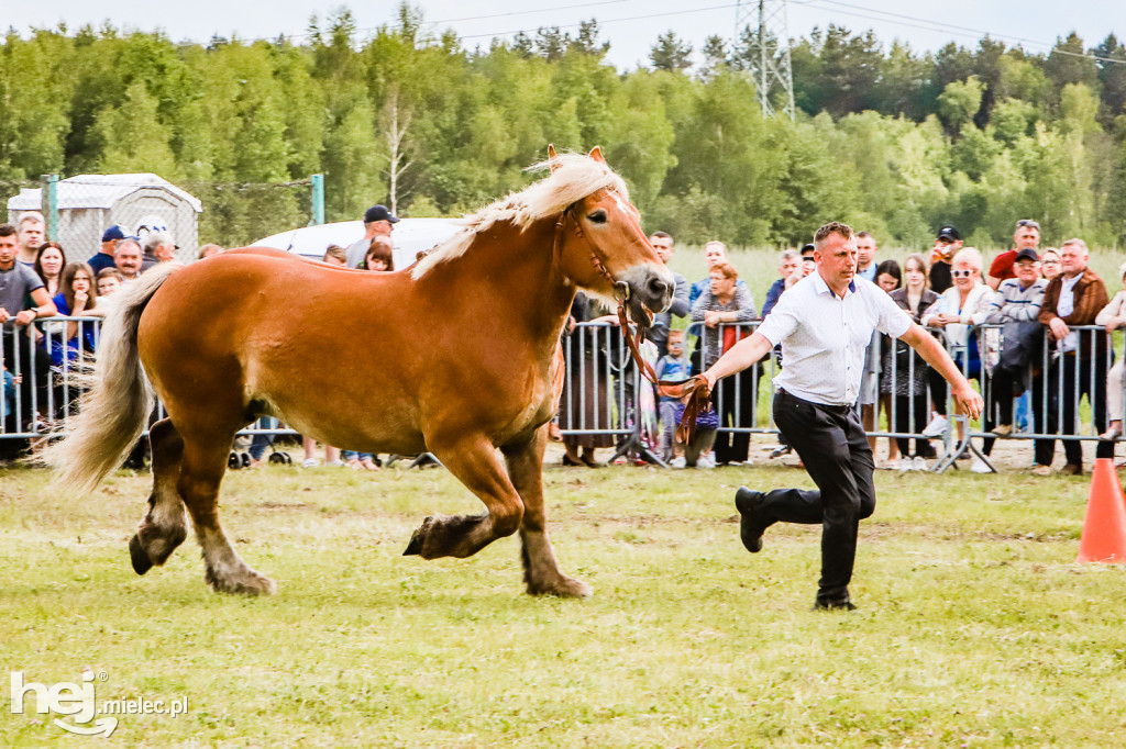 Parada Konna w Żarówce 2022