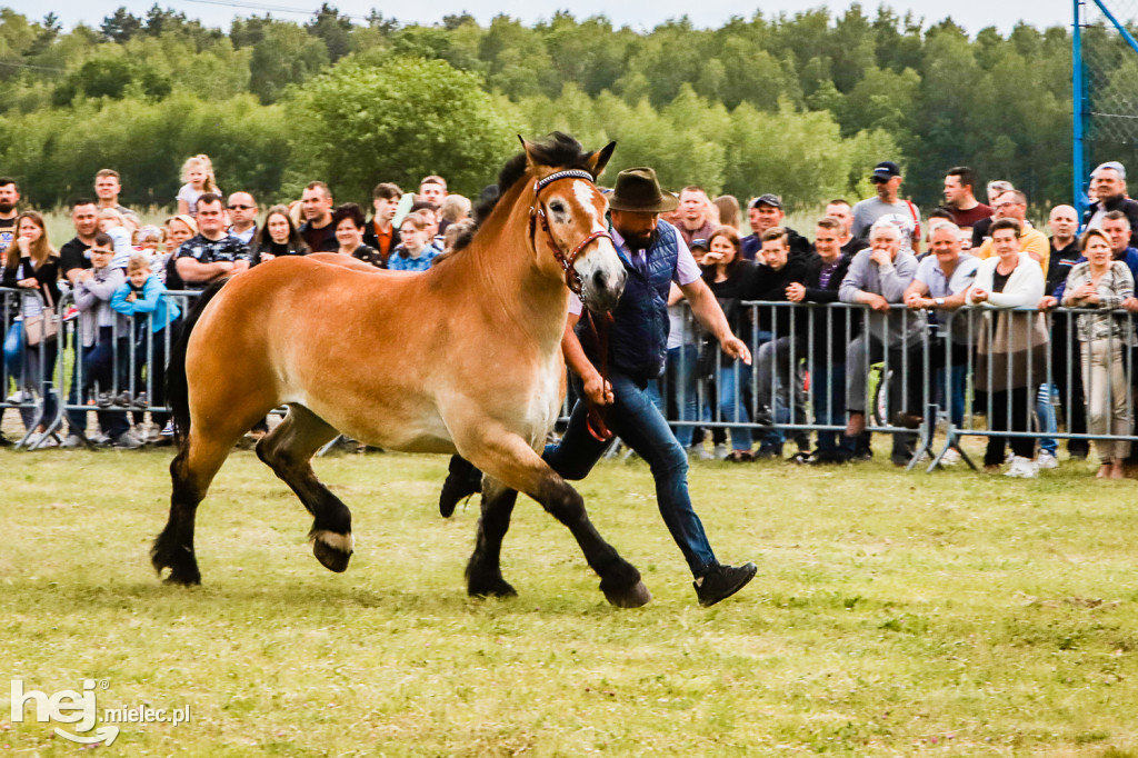 Parada Konna w Żarówce 2022