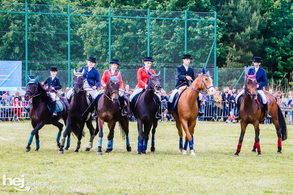 Parada Konna w Żarówce 2022